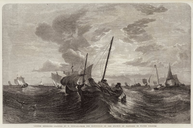 Oyster Ruoppaus tekijältä Edward Duncan