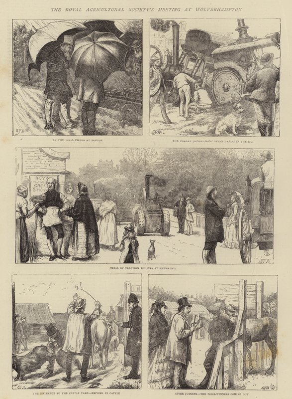 Royal Agricultural Societyn kokous Wolverhamptonissa tekijältä Edward Frederick Brewtnall