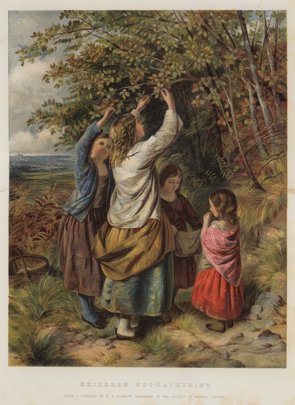 Lapset Pähkinöiden kerääminen tekijältä Edward John Cobbett