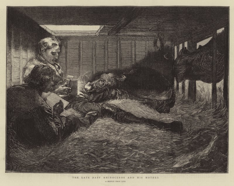 Myöhäinen sarvikuonovauva ja hänen äitinsä tekijältä Edward John Gregory