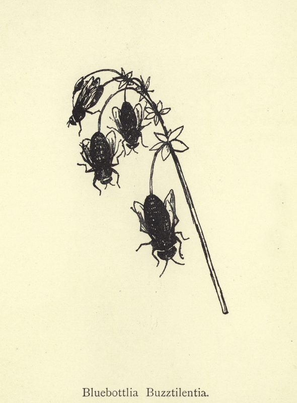 Bluebottlia Buzztilentia tekijältä Edward Lear