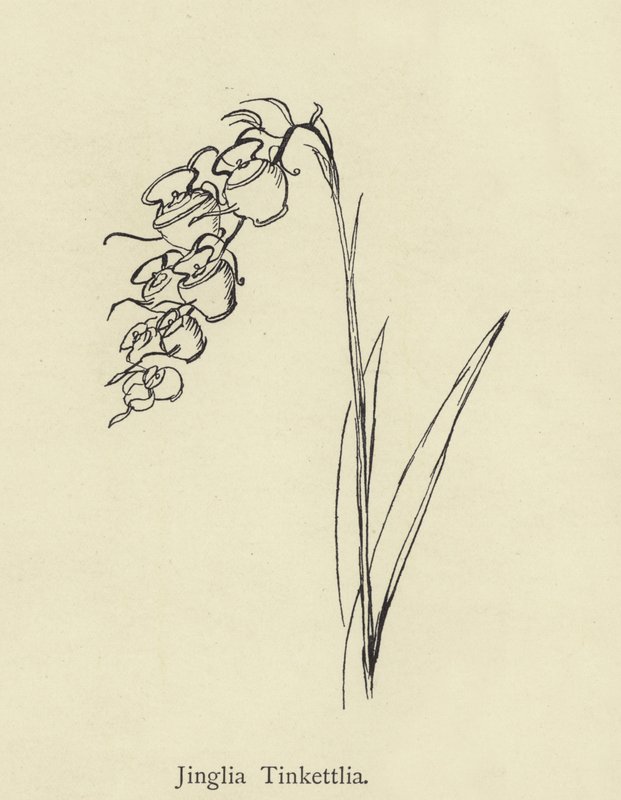 Jin veli ja tina voidaan TT tekijältä Edward Lear