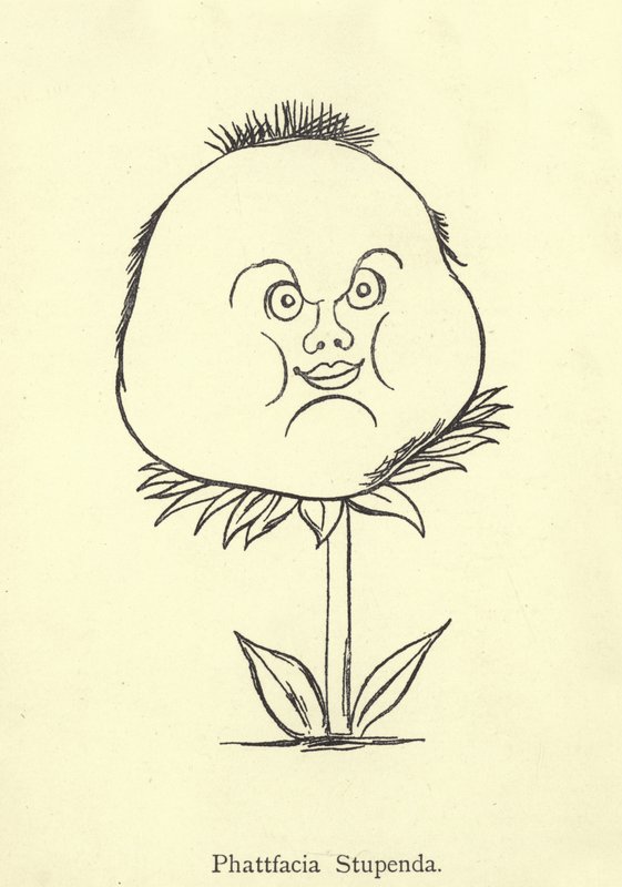 Loistava Phattfacia tekijältä Edward Lear