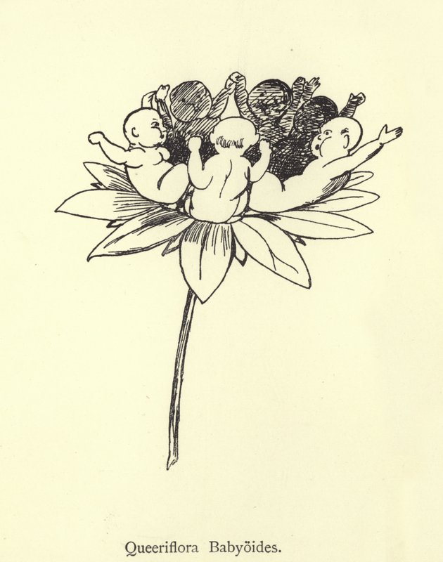 Queeriflora babyoides tekijältä Edward Lear