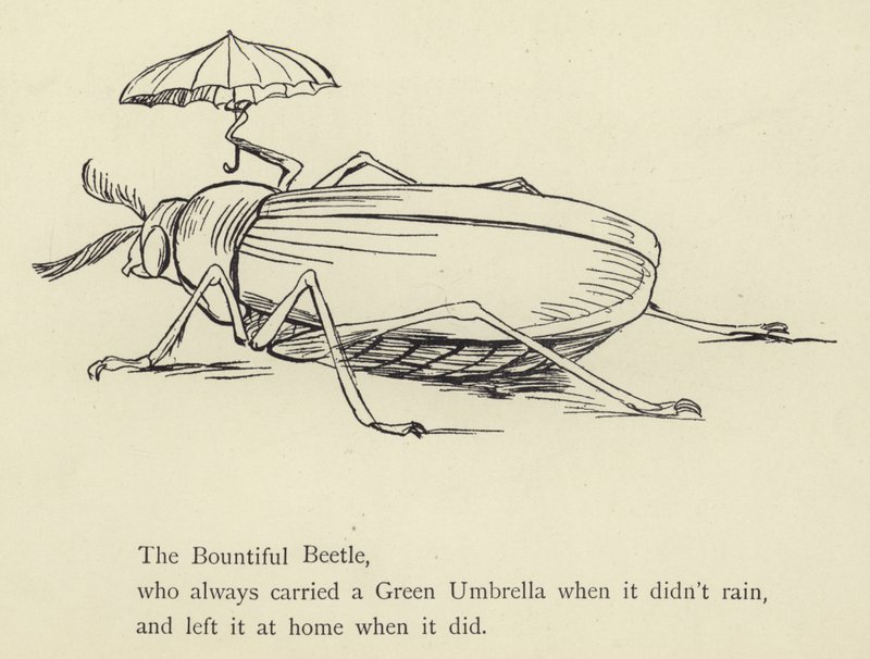Runsas kovakuoriainen tekijältä Edward Lear