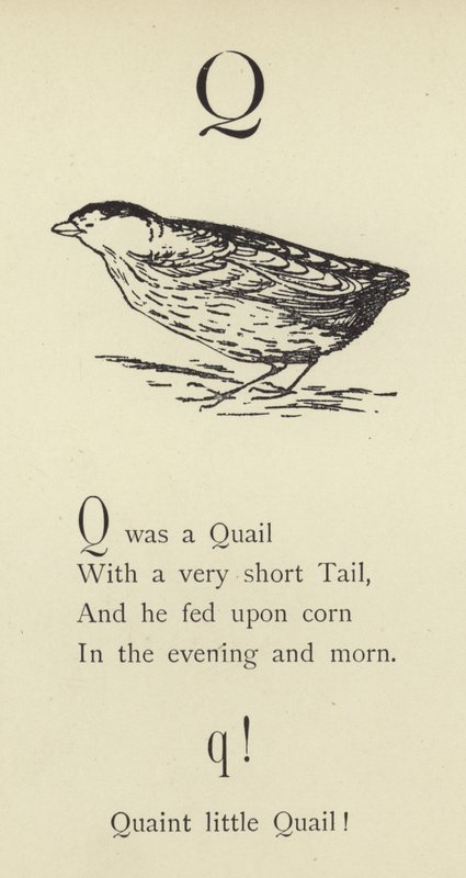 Kirjain Q tekijältä Edward Lear