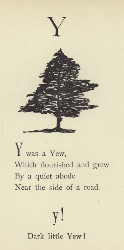 Y-kirjain tekijältä Edward Lear