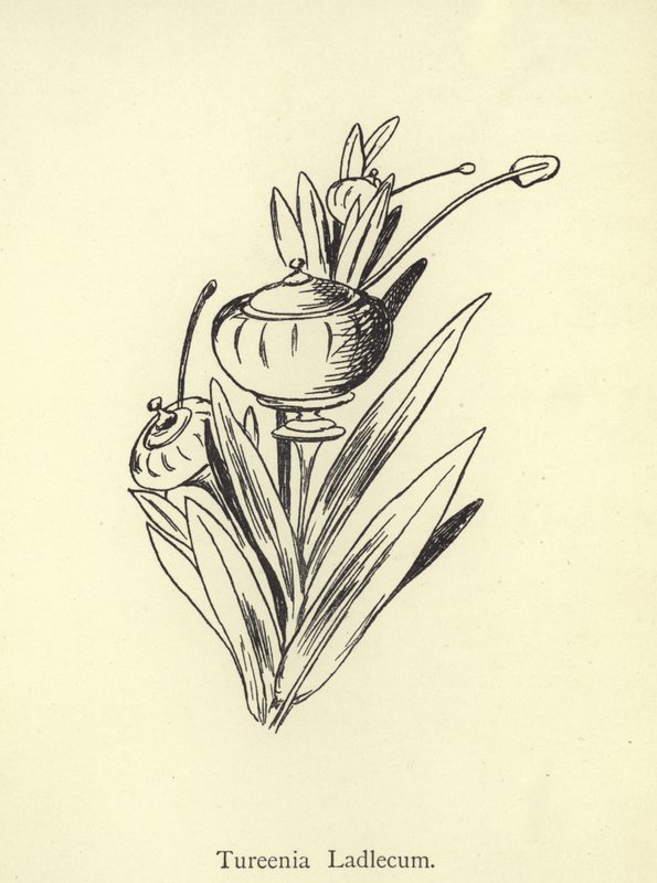 Tureenia Ladlecum tekijältä Edward Lear