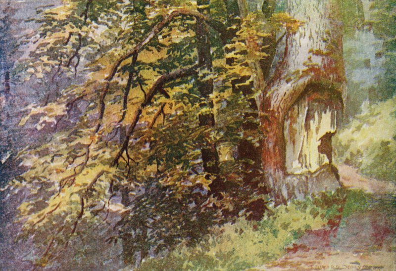 Circular Roadilla, Gulmargissa tekijältä Edward Mary Joseph Molyneux