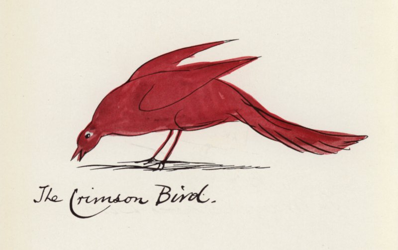 Edward Lear, The Bird Book: The Crimson Bird (väri litho) tekijältä Edward (after) Lear