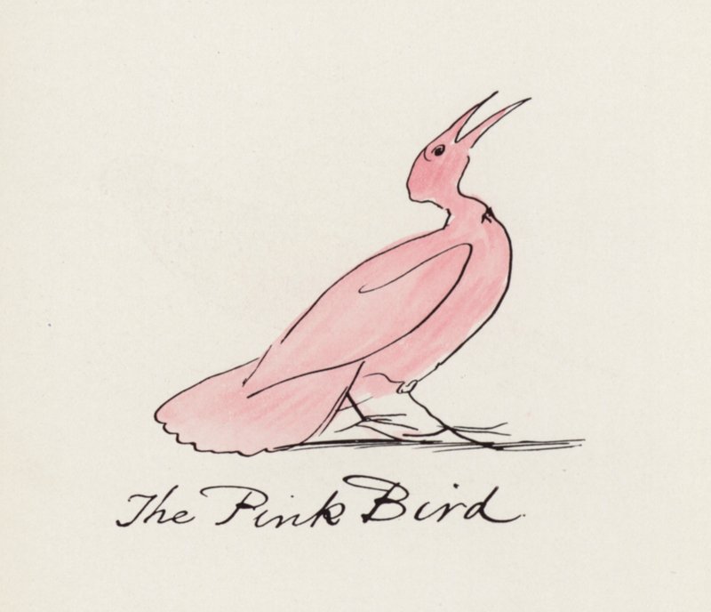Edward Lear, Lintukirja: Vaaleanpunainen lintu (väri litho) tekijältä Edward (after) Lear