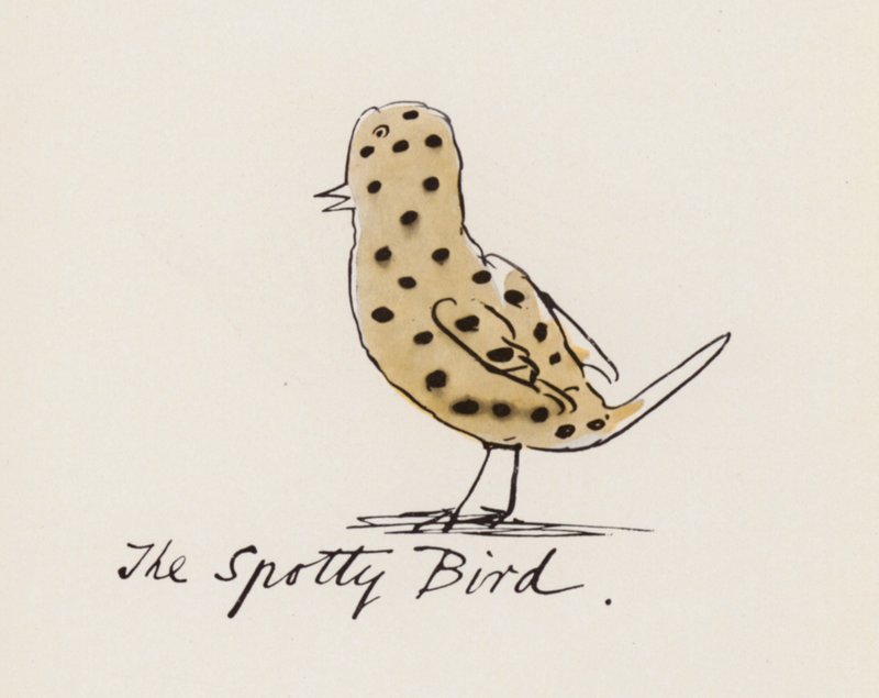Edward Lear, The Bird Book: The Spotty Bird (värilitho) tekijältä Edward (after) Lear