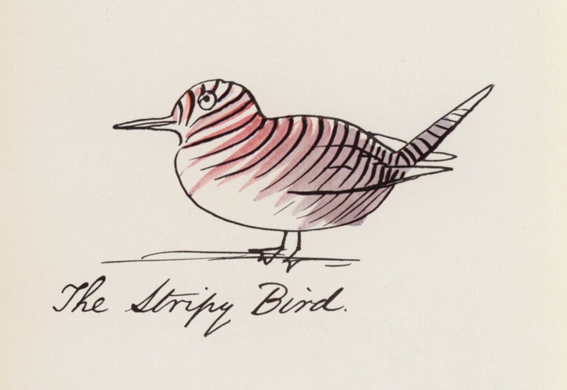 Edward Lear, Lintukirja: Raidallinen lintu (värilitho) tekijältä Edward (after) Lear