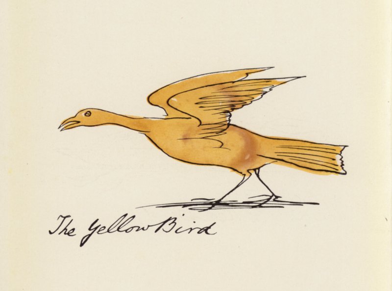 Edward Lear, Lintukirja: Keltainen lintu (väri litho) tekijältä Edward (after) Lear