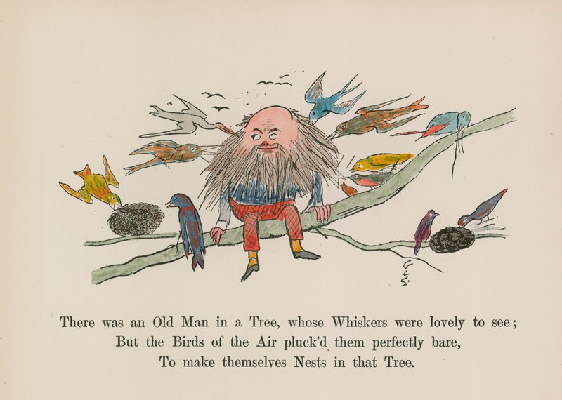 Puussa oli vanha mies, jonka viikset olivat ihanat katsella (värillinen kaiverrus). tekijältä Edward (after) Lear