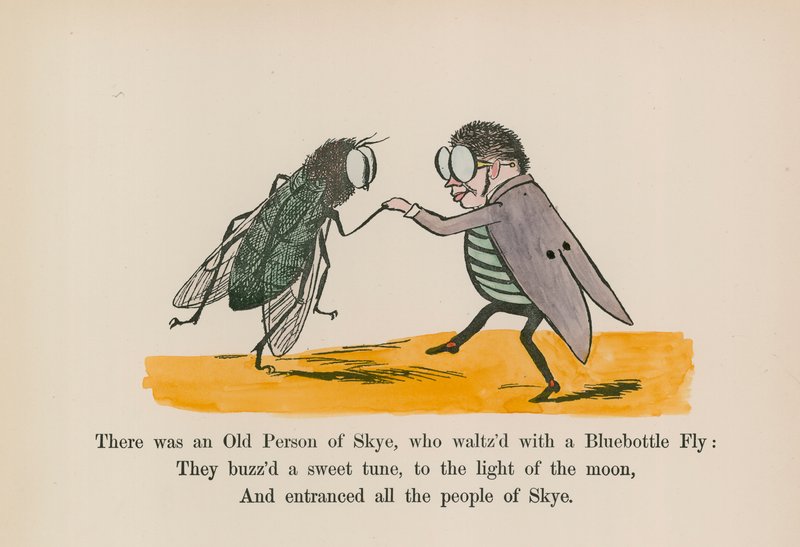 Olipa kerran Skyen vanha ihminen, joka tanssi valssia sinipullokärpäsen kanssa (värillinen kaiverrus). tekijältä Edward (after) Lear
