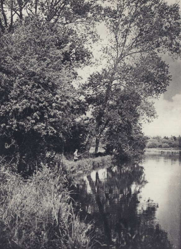 Isojen poppelien alla Houghton Waterin varrella (s/w-kuva) tekijältä Edward Alfred Barton