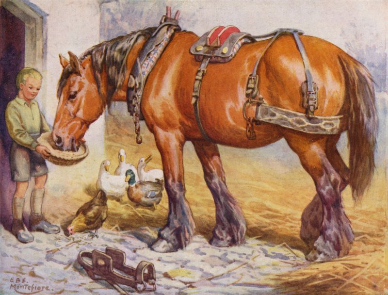 Poika ruokkimassa hevosta pihalla (väri litho) tekijältä Edward Brice Montefiore