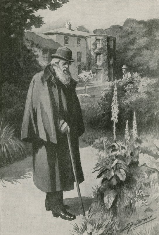 Charles Darwin Down Housen puutarhassaan (litografia) tekijältä Edward Frederick Skinner