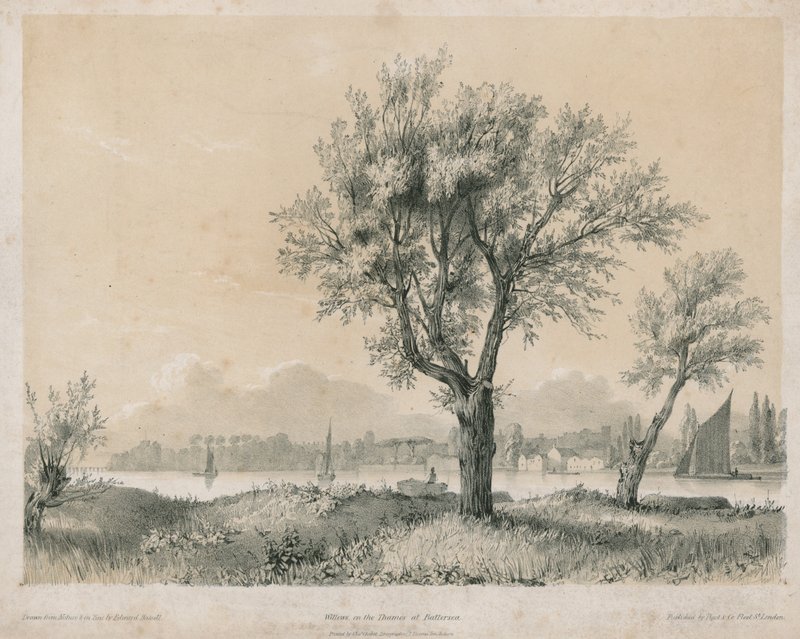 Willows on Thames Batterseassa tekijältä Edward Hassell