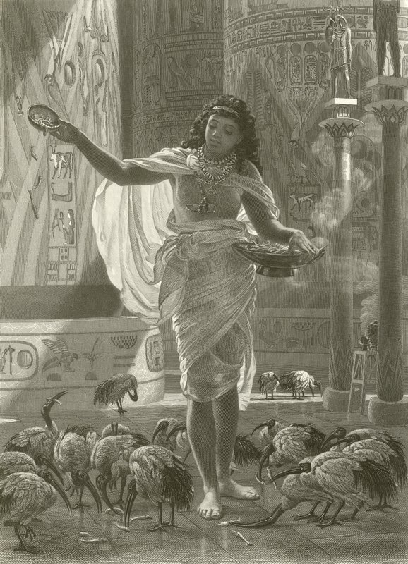 Pyhän ibiksen ruokkiminen Karnacin hallissa tekijältä Edward John Poynter