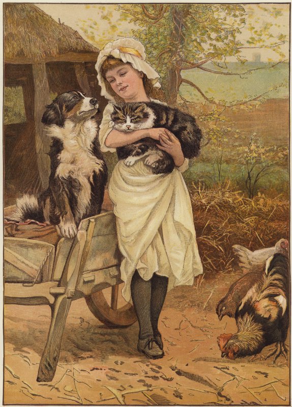 Kilpailijat tekijältä Edward Killingworth Johnson