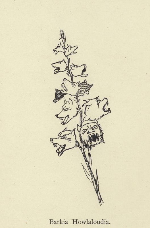Barkia Howlaloudia tekijältä Edward Lear