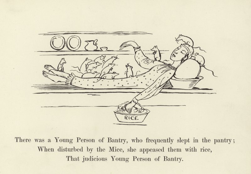 Siellä oli nuori Bantrysta, joka nukkui usein ruokakomerossa tekijältä Edward Lear