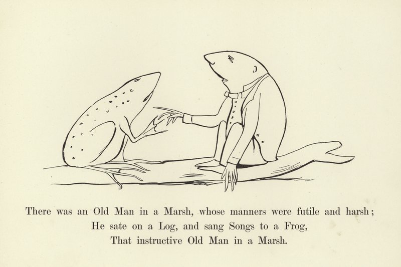 Suolla oli vanha mies, jonka käytöstavat olivat turhia ja ankaria tekijältä Edward Lear