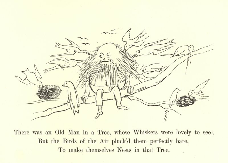 Siellä oli vanha mies puussa, jonka viikset oli ihana nähdä tekijältä Edward Lear
