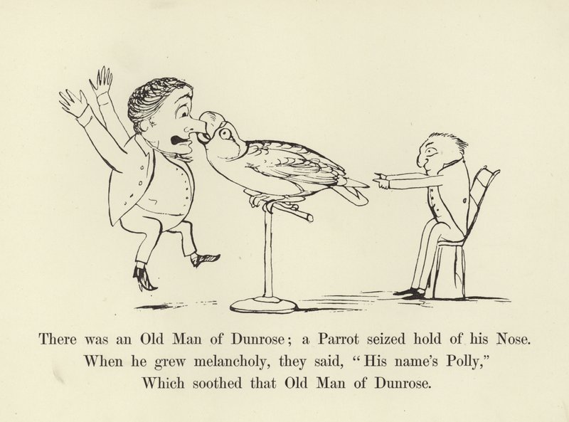 Oli eräs Dunrosen vanhus; papukaija tarttui hänen nenäänsä... tekijältä Edward Lear