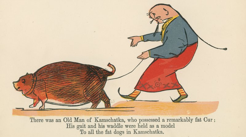 Olipa Kanšatkan vanhus, jolla oli huomattavan lihava Cur, Frederick Warne and Co:n julkaisemasta "A Book of Nonsense", Lontoo, n. 1875. tekijältä Edward Lear