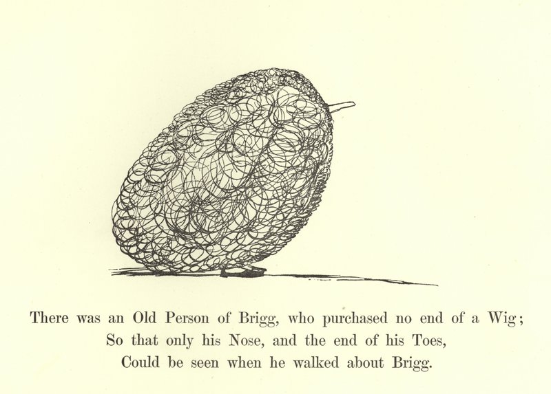 Oli eräs Briggin vanha henkilö, joka ei ostanut peruukkia tekijältä Edward Lear
