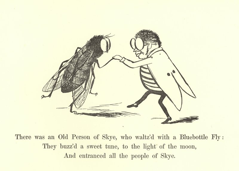 Siellä oli Skyen vanha henkilö, joka valssi Bluebottle Flyllä tekijältä Edward Lear