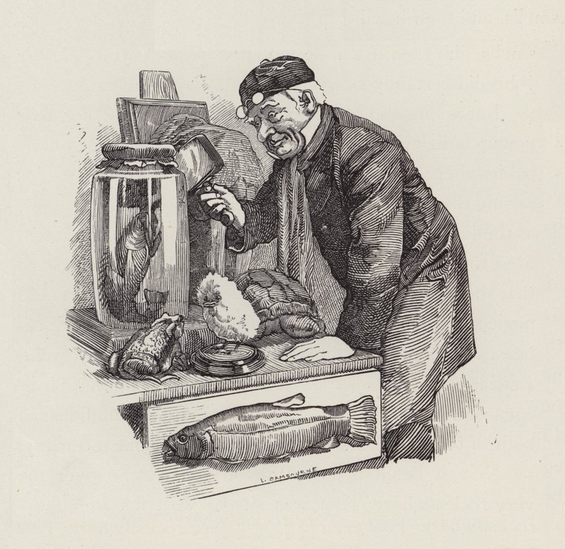 Kuvitus Charles Kingsleyn vesivauvoille (kaiverrus) tekijältä Edward Linley (after) Sambourne