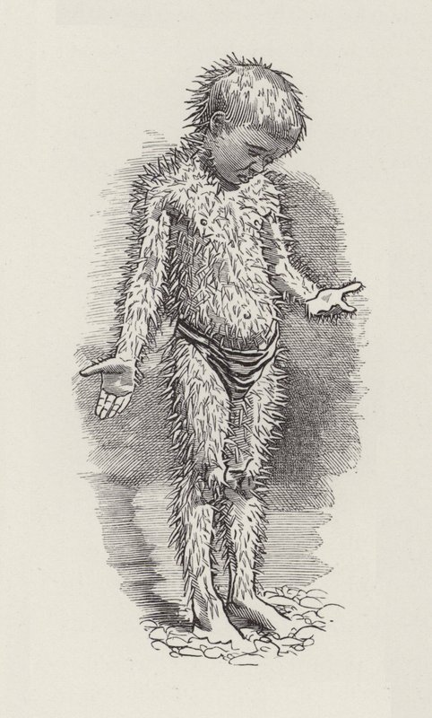 Kuvitus Charles Kingsleyn vesivauvoille (kaiverrus) tekijältä Edward Linley (after) Sambourne