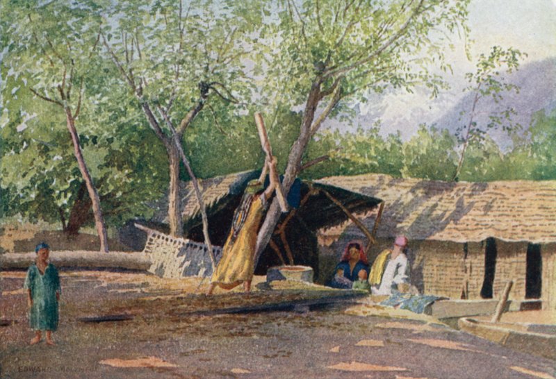 Venemies ja hänen perheensä tekijältä Edward Mary Joseph Molyneux