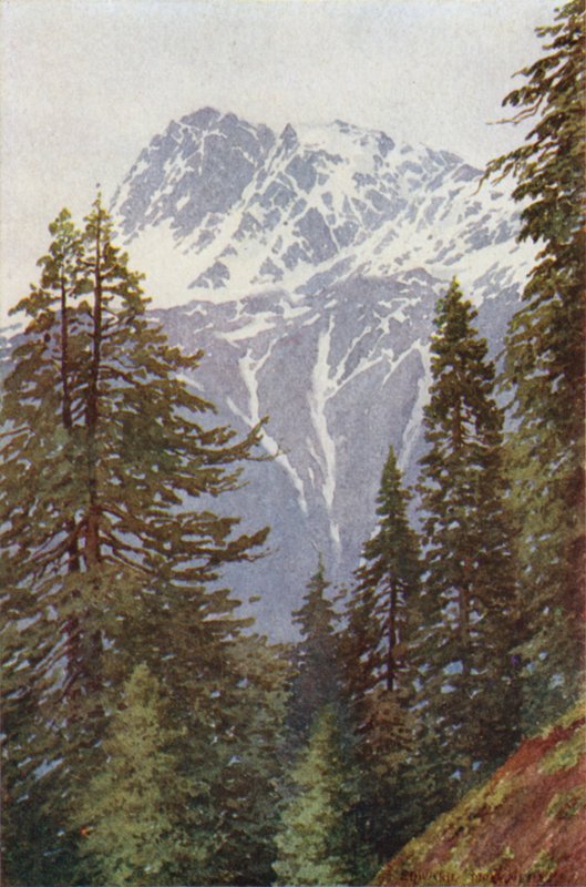 Kotwal metsästä Kanganin yllä, Sind Valley tekijältä Edward Mary Joseph Molyneux