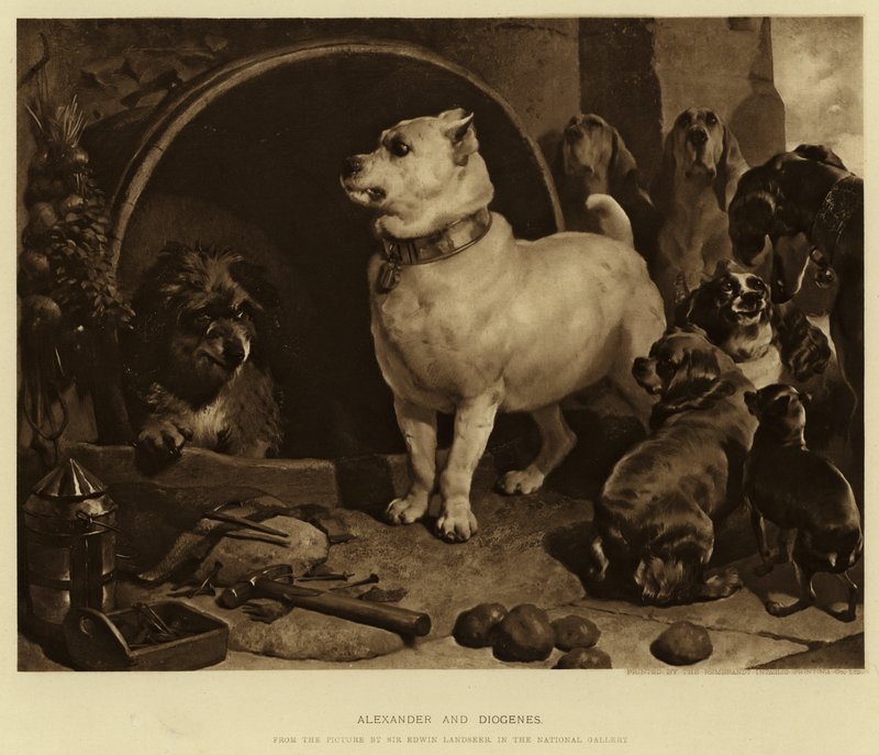 Aleksanteri ja Diogenes tekijältä Edwin Landseer