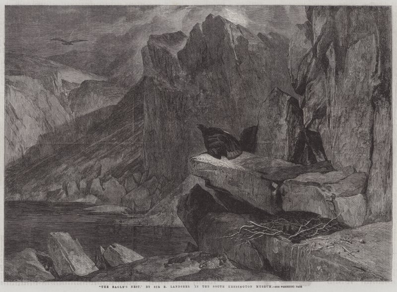 Kotkanpesä tekijältä Edwin Landseer