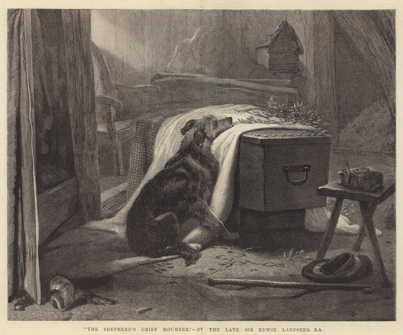 Paimenen pääsurittaja tekijältä Edwin Landseer