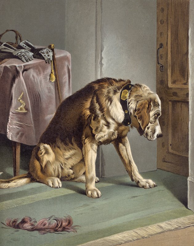 Jännitystä tekijältä Edwin after Landseer