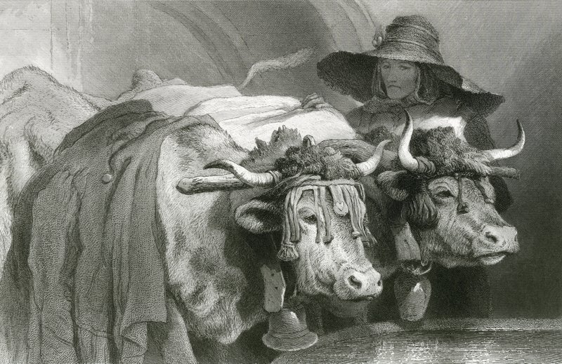 Härät tankissa, Geneve (kaiverrus) tekijältä Edwin (after) Landseer