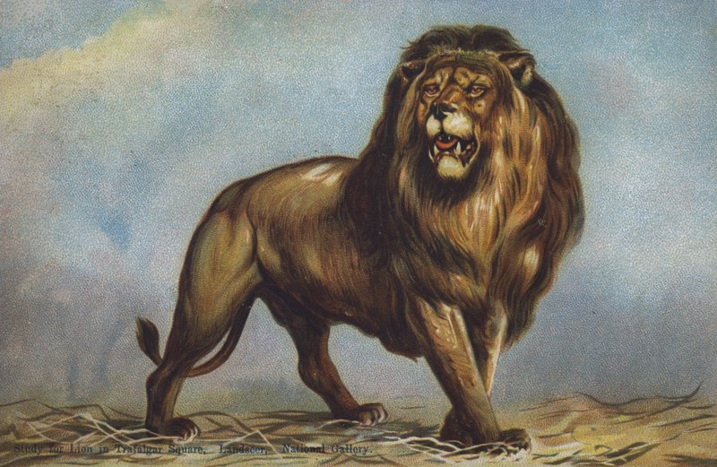 Leijonatutkimus Trafalgar Squarella, Landseer, National Gallery, Lontoo (värilitho) tekijältä Edwin (after) Landseer