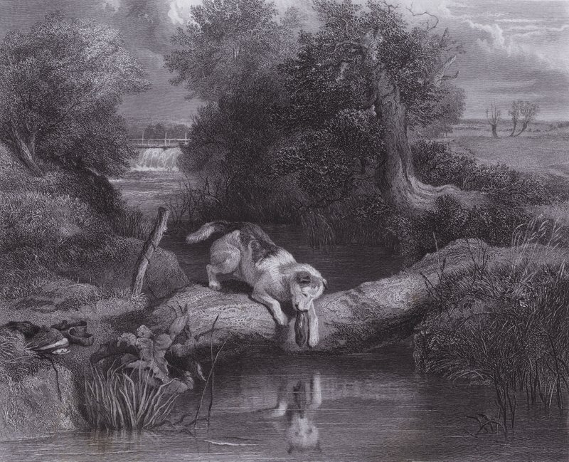 Koira ja varjo (kaiverrus) tekijältä Edwin (after) Landseer