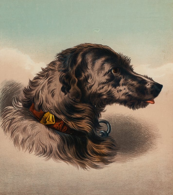 The Stag Hound () (värilitra) tekijältä Edwin (after) Landseer