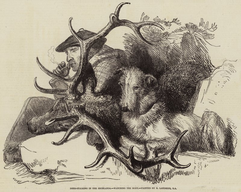 Deer-Stalking Highlands, katselee Body tekijältä Edwin Landseer