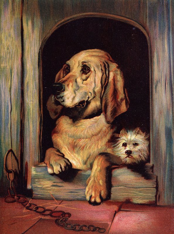 Arvokkuus ja röyhkeys tekijältä Edwin Landseer