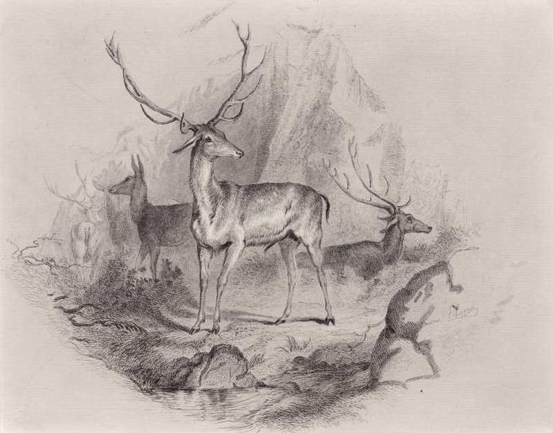 Glenissä tekijältä Edwin Landseer