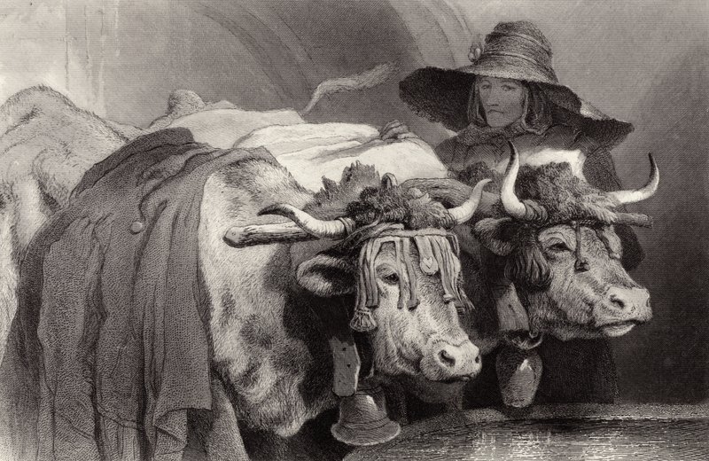 Härät tankin luona, Geneve, Sveitsi tekijältä Edwin Landseer